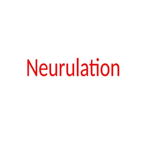 Neurulation.pptxvvvbbbbhbbbbvffghhjjjjjh