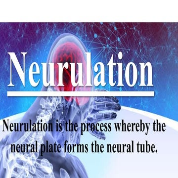 Neurulation developmental biology