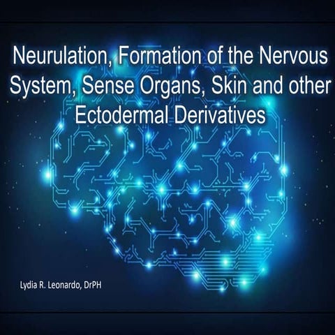 Neurulation, Formation of Nervous System.pptx