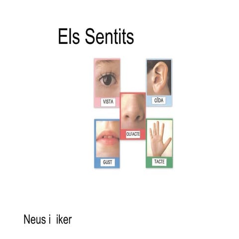 Marcos i Inés - Els Sentits | ODP