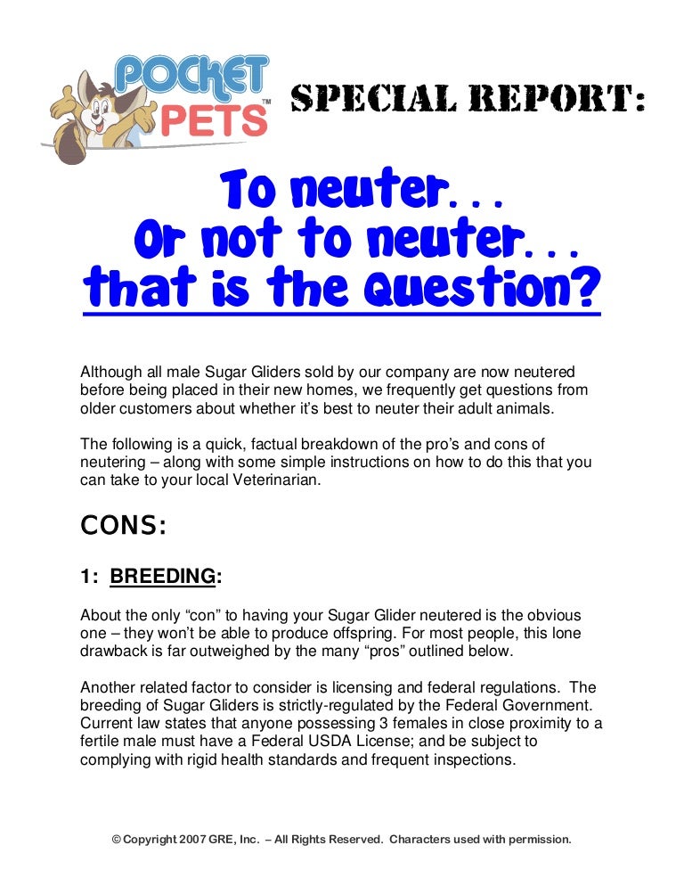 neutering sugar gliders