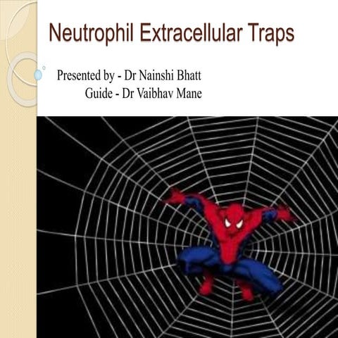 Neutrophil extracellular trap