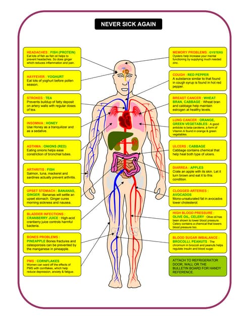 Never Feel Sick Again