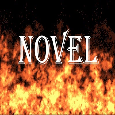 new-121102013034-phpapp02.pptx introducing the novel