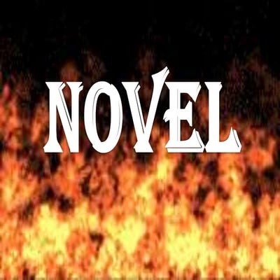 Novel