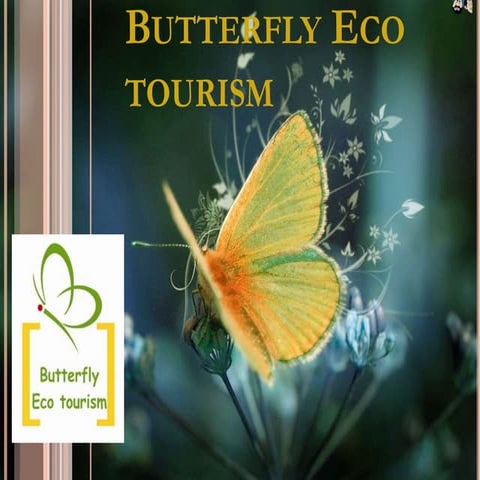 Butterfly Ecotourism