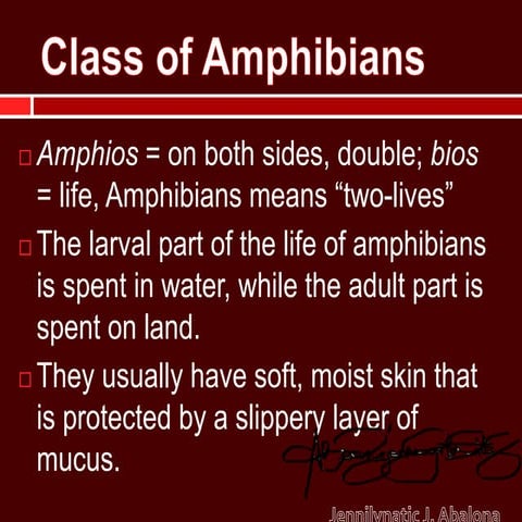 Classes of Amphibians, Reptiles, and Mammals