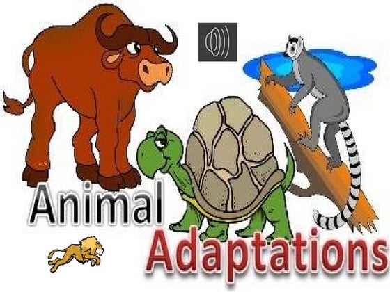Animal adaptations | PPTX