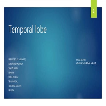 anatomy and physiology of temporal lobe