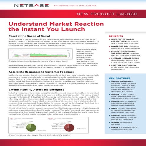 NetBase API Data Sheet | PDF