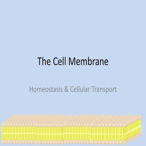 new.cell.transport.14.pptx