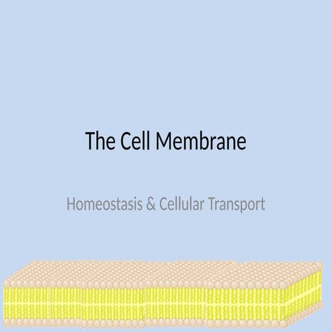 new bacterial cell membrane transport.14.pptx