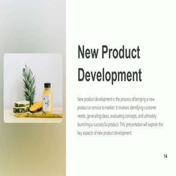 New product development process | PDF