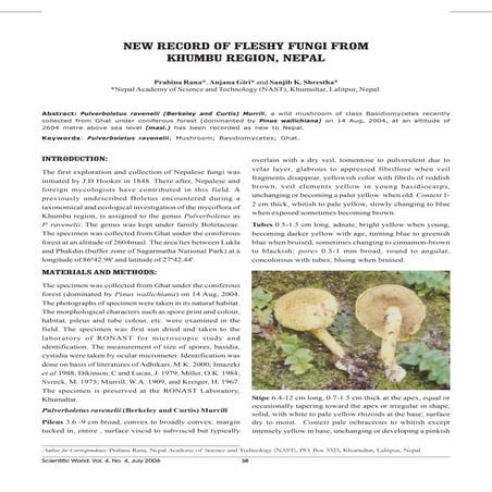 New  Record Of  Fleshy  Fungi From  Khumbu  Region,  Nepal