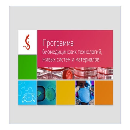 Программа биомедицинских технологий, живых систем и материалов