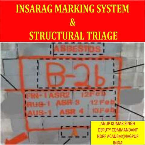 INSARAG MARKING