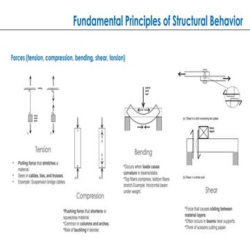 NEWB.pptxvdn frigfwvcdjosknfgrwmcfjgrjowdsvcfk