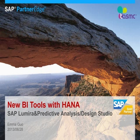 New BI Tools with HANA