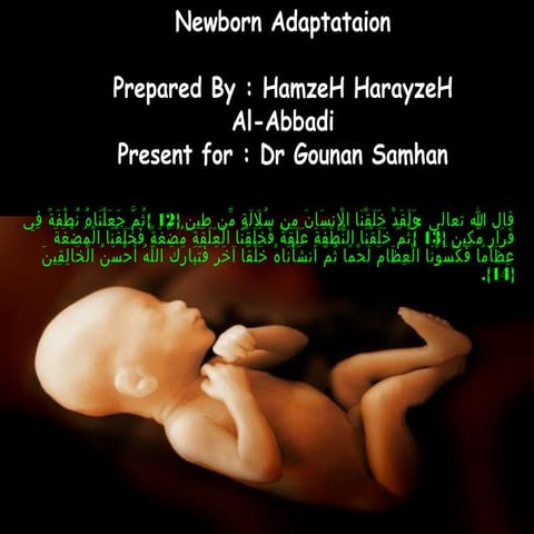 Newborn adaptation