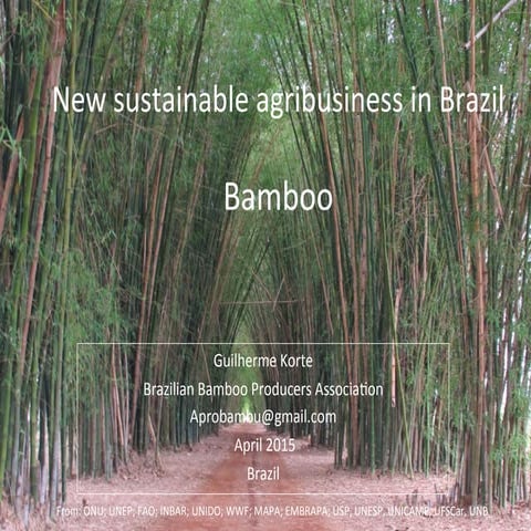 New brazilian sustainable agribusiness   bamboo 