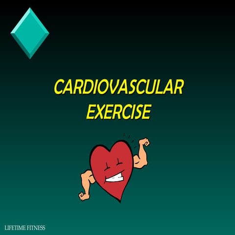 New Cardio