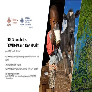CRP Soundbites: COVID-19 and One Health