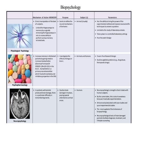 Biopsychology Chart I