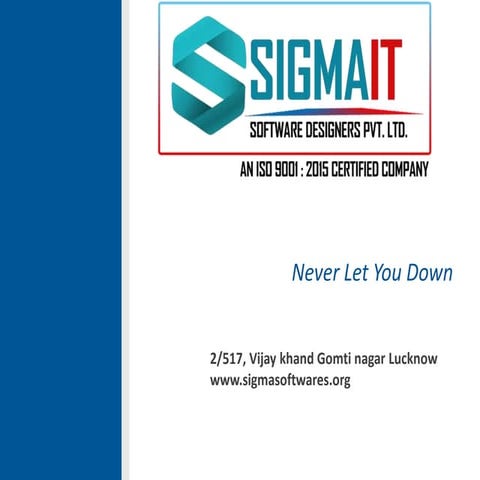 HGS Company Overview | PDF