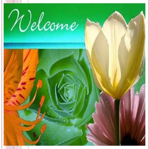 New concepts in maintenance of plant breeding promises and prospects