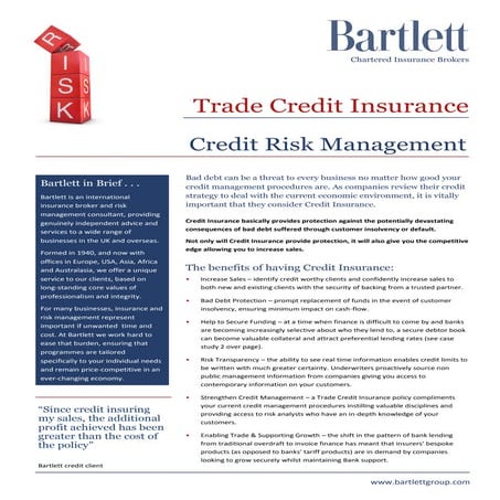 Bartlett Credit Insurance Flyer