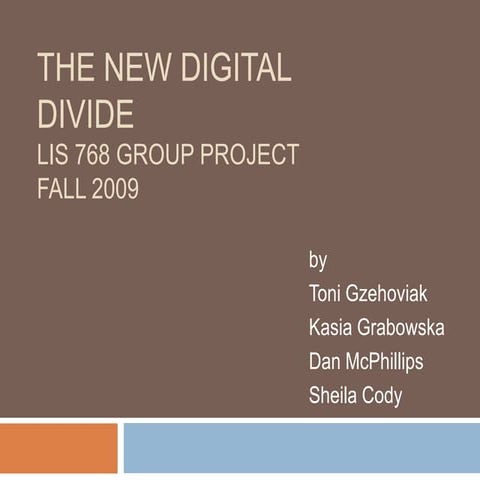 The New Digital Divide