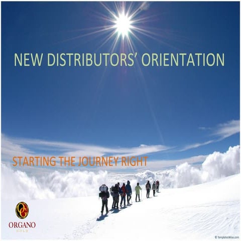 Newbie to Sales, Distribution and Network Marketing