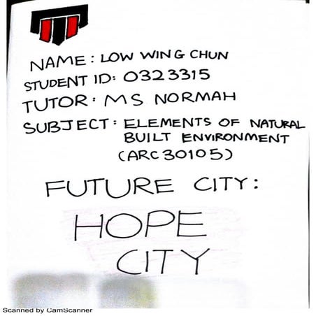 enbe individual pamhplet