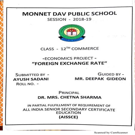 foreign exchange rate project class 12