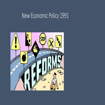New economic policy 1991