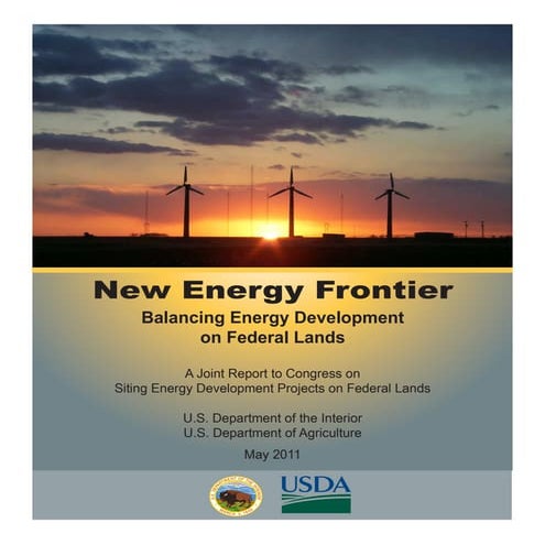 New Energy Frontier report
