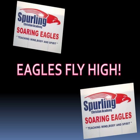 New field day_activities1