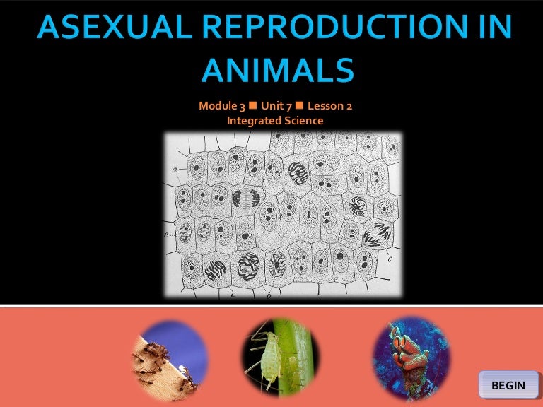Integrated Science M3 Asexual Reproduction in animals