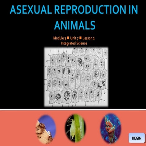 Integrated Science M3 Asexual Reproduction in animals