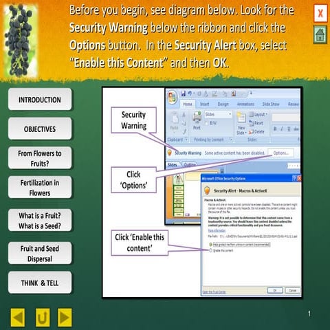 Integrated Science Fertilization & Fruit Formation