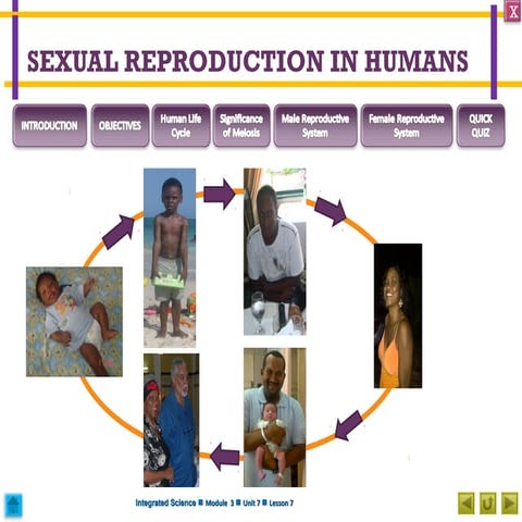 Integrated Science M3 Sexual Reproduction in Humans