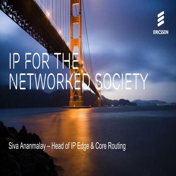 IP for the Networked Society