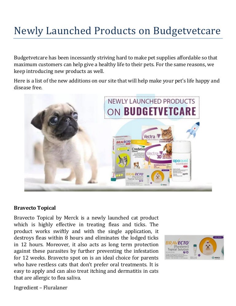 Introduction of Trending Pet Products of 2019 Budget Vet Care