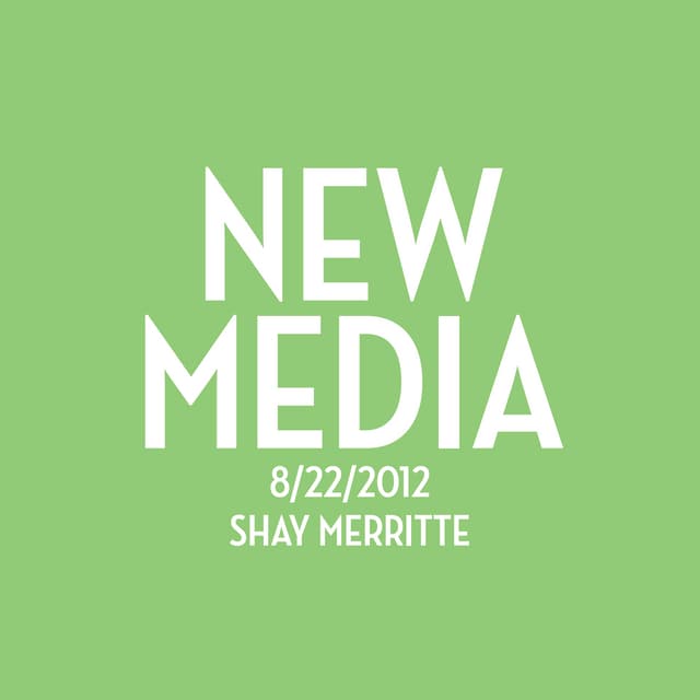 New Media Survey White Paper 2012
