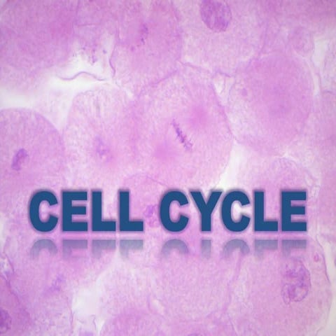 New Microsoft Office PowerPoint Presentation-1.pptx