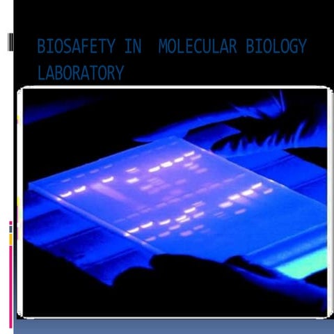 Biosafety and ethics in Molecular biology laboratory