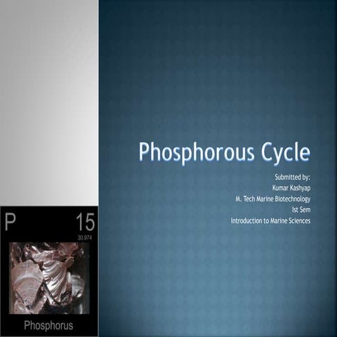 Phosphorous Cycle in Marine environment