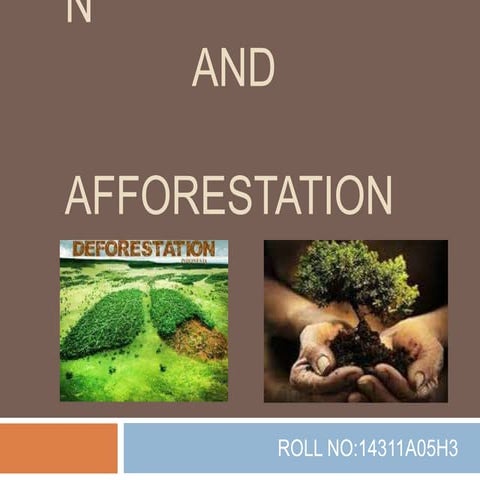 deforestation and afforestation