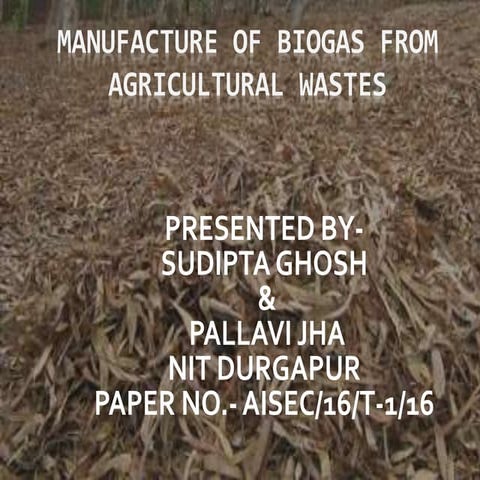 pretreatment methods for manufacture of biogas from agricutural wastes