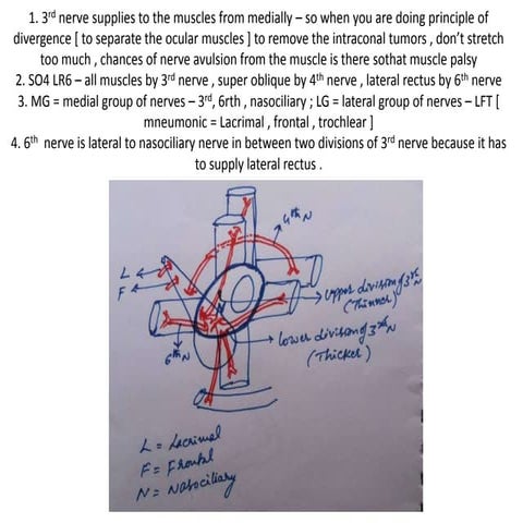 Line diagrams - skull base 360 - part 2
